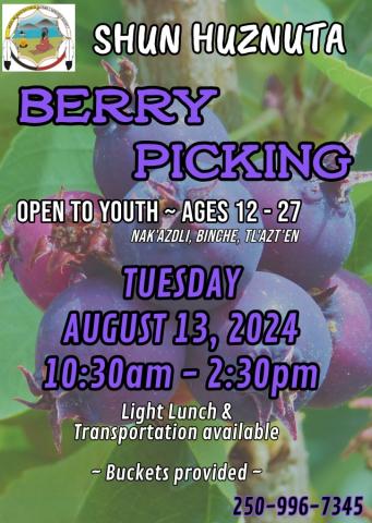 Shun Huznuta Berry Picking 